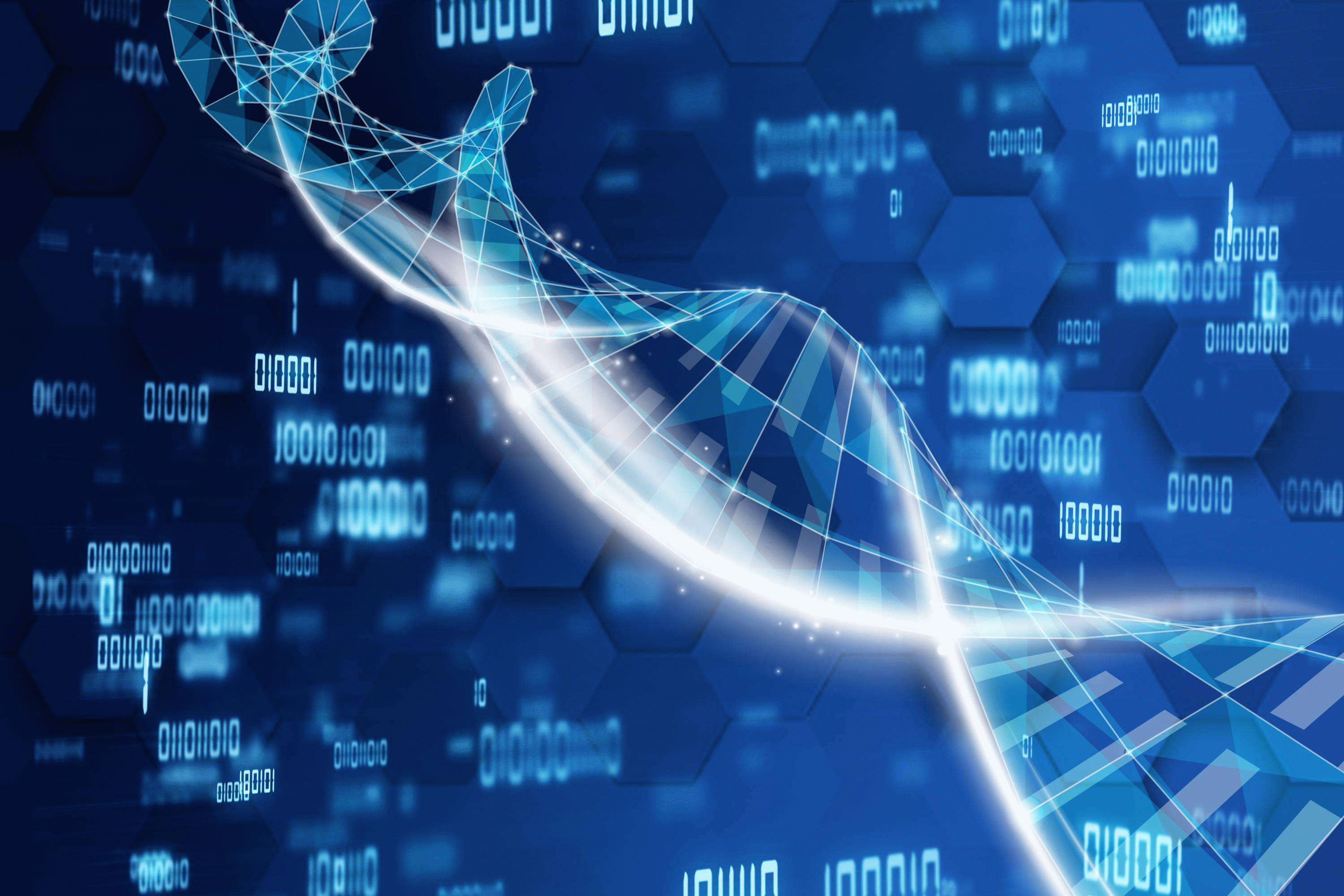 ���ڽ�һ���淶�б�Ͷ���������ҵ��Ӫ�����ʸ���鹤����֪ͨ